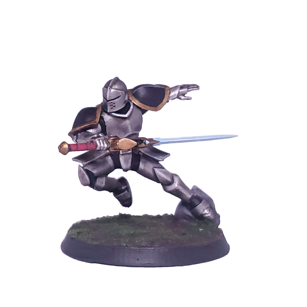 Abraxii Knights - Paladins